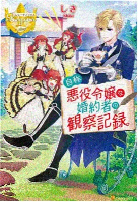 没落贵族琉璃川剧场版